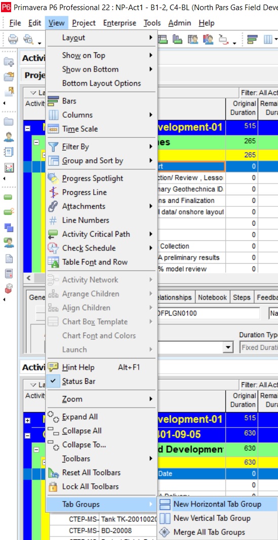 Additional Activation View3