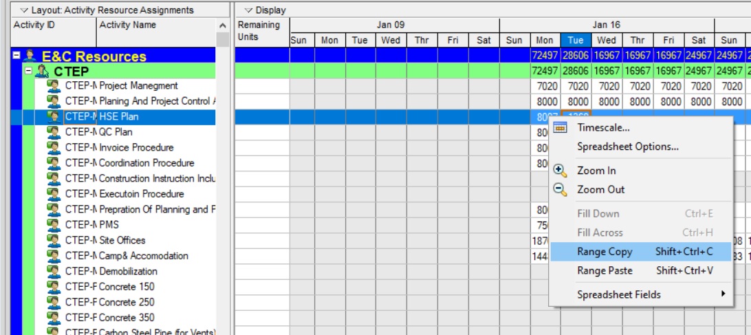 Copy Range in P6